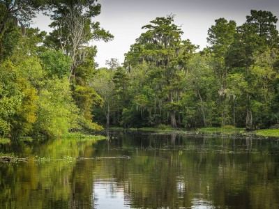 New Simulation Focuses on Louisiana’s Coastal Resilience