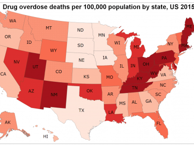 Did Americans Turn to Opioids Out of Despair—or Just Because They Were There?