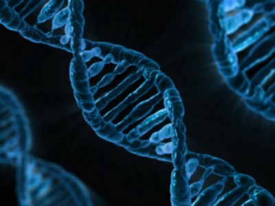 Doleac: DNA Databases Deter Crime
