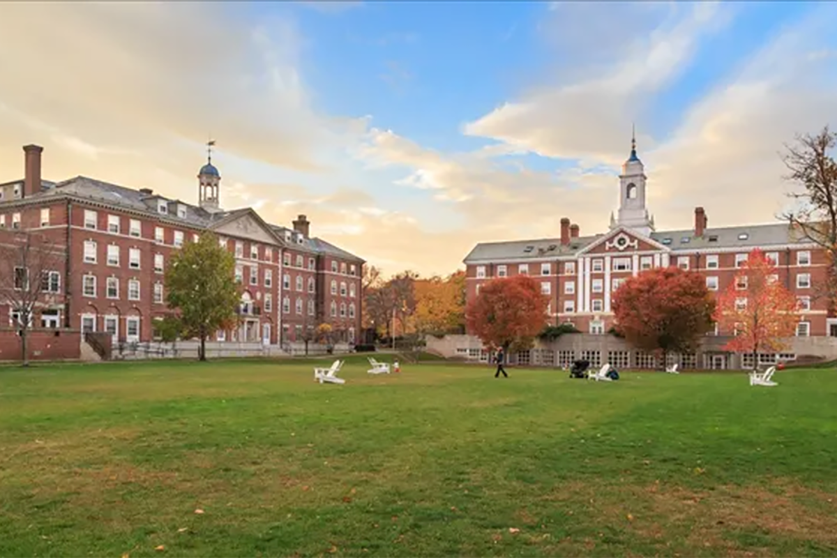 George Santos’ college education is a myth. Is he the only one lying? We checked. 